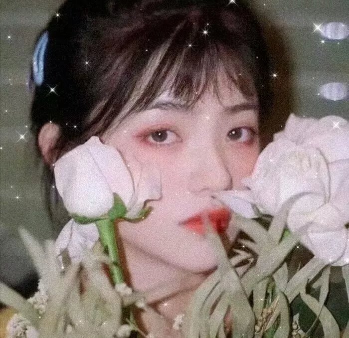 沦落风尘一妇人